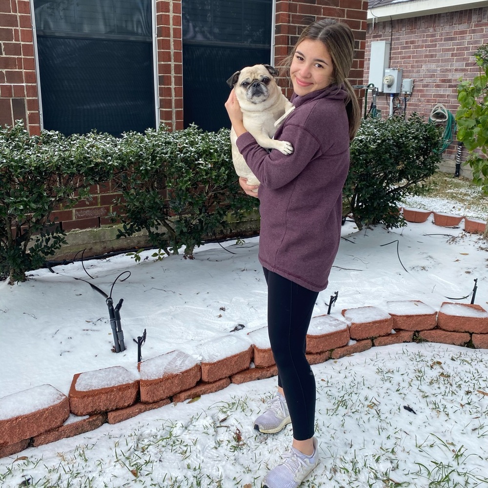 Meet your Posher, Jetta